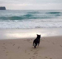 Breakers at Mudjimba Beach - Accommodation Cairns