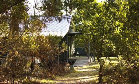 Brodribb River Rainforest Cabins - Cabin 1 - Accommodation Cairns 2