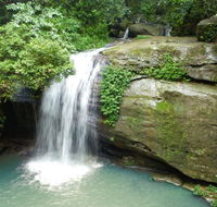 Buderim Forest Hideaway - Accommodation Cairns