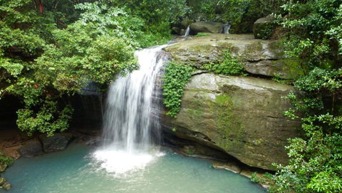 Buderim Forest Hideaway - Accommodation Cairns 0