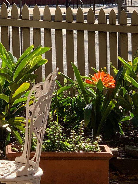 Burwood Bed And Breakfast - Accommodation Cairns 3