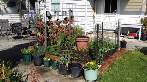 Carisbrook Cottage Queenscliff - Accommodation Cairns 1