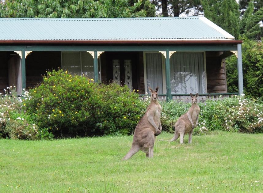 Mount Irvine NSW Accommodation Cairns