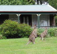 Cedar Lodge Cabins - Accommodation Cairns