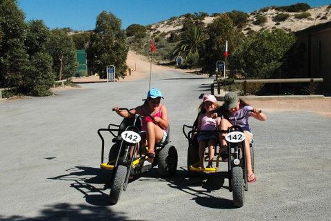 Ceduna Shelly Beach Caravan Park - Accommodation Cairns 1