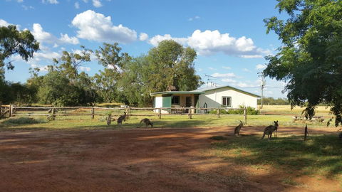 Charleville Bush Cottage - Accommodation Cairns 1