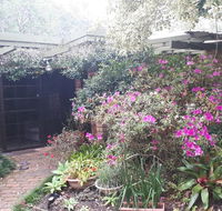 Charming country house close to Grafton - Accommodation Cairns