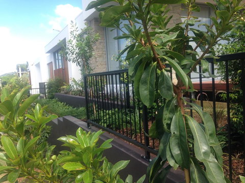 City Pads 2 - Accommodation Cairns 0