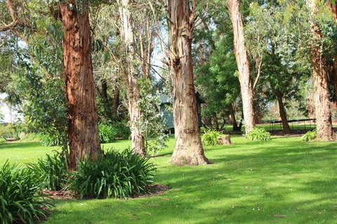 Clarendon Chalets - Accommodation Cairns 1