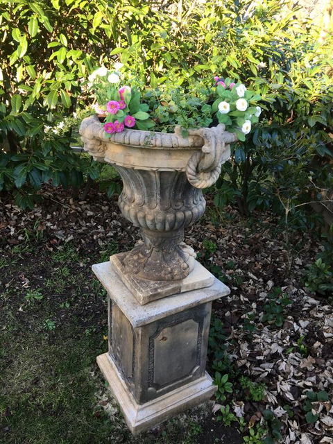 Clubbe Cottage - Accommodation Cairns 1