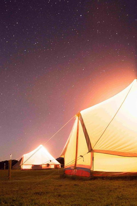 Coonawarra Bush Holiday Park - Accommodation Cairns 3