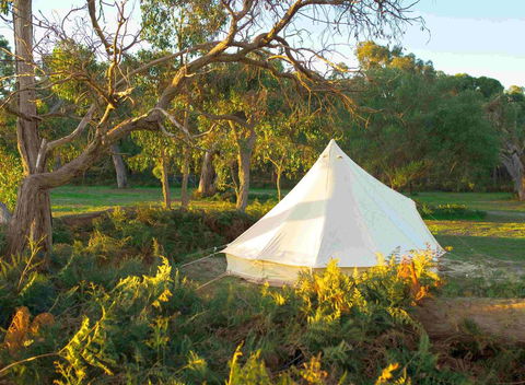 Coonawarra Bush Holiday Park - Accommodation Cairns 0
