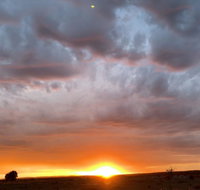 creative 3D sculpture share - Accommodation Cairns