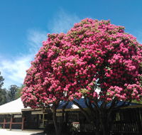 Crossways Country Inn - Accommodation Cairns