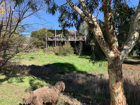 Cullen House - Accommodation Cairns 1