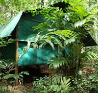Daintree Crocodylus - Accommodation Cairns