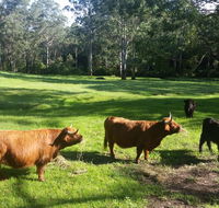 Dingley Dell - Accommodation Cairns