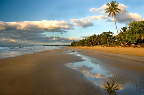 Driftwood - Accommodation Cairns 1