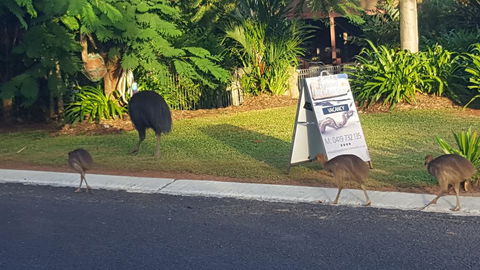 Driftwood Bed And Breakfast - Accommodation Cairns 1