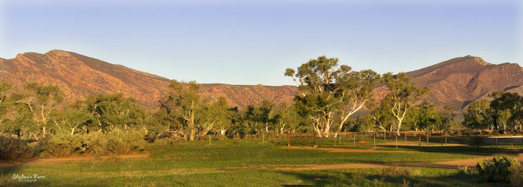 Flinders Ranges SA Accommodation Cairns