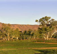 Edeowie Station - Accommodation Cairns