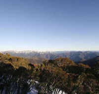 Elkhorn 7 - Accommodation Cairns