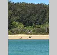 FAIRVIEW COTTAGE 25B - Waterfront accommodation - Accommodation Cairns