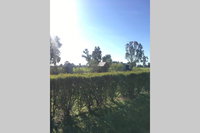 Book Benalla Accommodation Vacations Accommodation Cairns Accommodation Cairns