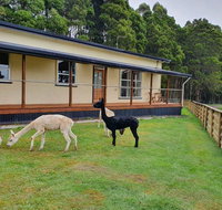 Farm Stay Lowana Strahan - Accommodation Cairns