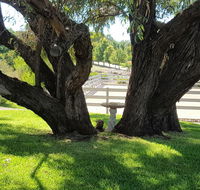 Farm Stay Studio - Accommodation Cairns