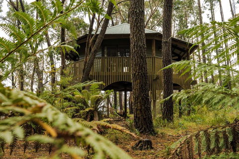 Federation Gardens & Possums Hideaway - Accommodation Cairns 2