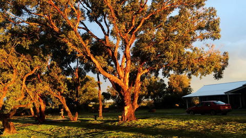 French Island Cottage - Accommodation Cairns 1