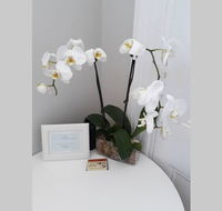 Gawler Heritage Accommodation - Accommodation Cairns