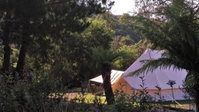Book Zeehan Accommodation Vacations Accommodation Cairns Accommodation Cairns