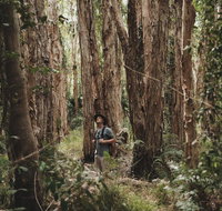 Habitat Noosa - Accommodation Cairns