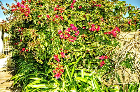 Halls Head Holiday Home - Accommodation Cairns 3