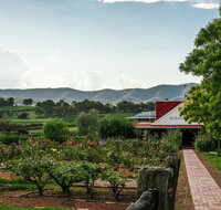 Hanging Tree Wines - Accommodation Cairns