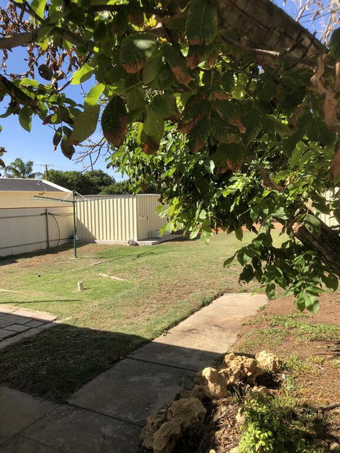 Happy Hours - Accommodation Cairns 3