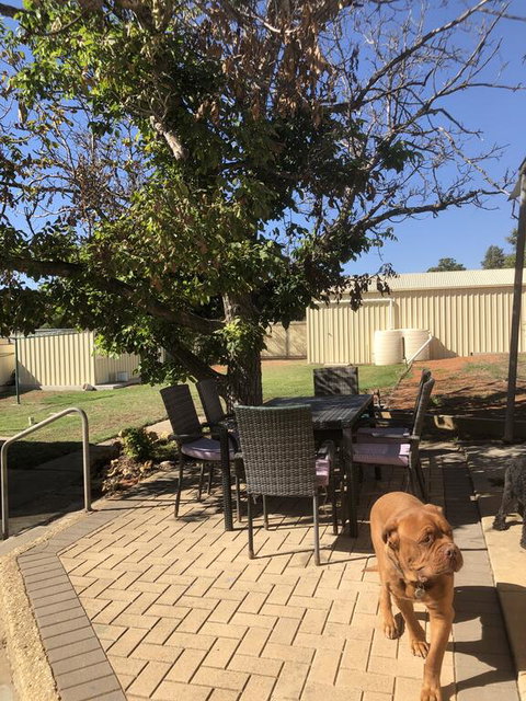 Happy Hours - Accommodation Cairns 2