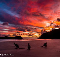 Heather's Mica Cottage - Accommodation Cairns