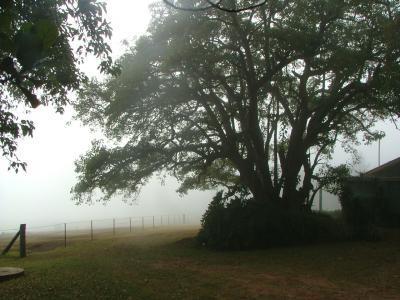Hillview Cottages - Accommodation Cairns 3