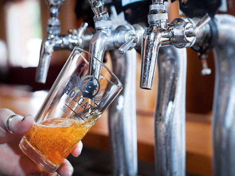 Holgate Brewhouse - Accommodation Cairns 0