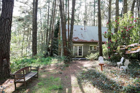 Holly Lodge Medlow Bath - Accommodation Cairns 3