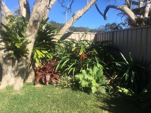 It's De-Lovely B And B - Accommodation Cairns 2