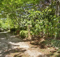Jalscene - Accommodation Cairns