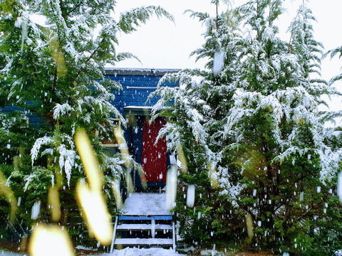 Lakeside Studio - Accommodation Cairns 0