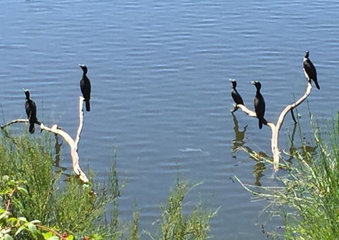 Lakeside Suites - Accommodation Cairns 3