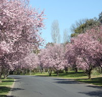 Leo's Rest Bathurst NSW - Accommodation Cairns