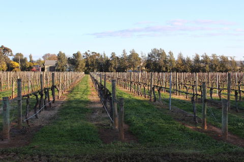 Milawa Vineyard Views - Guesthouse 1 - Accommodation Cairns 1
