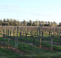 Milawa Vineyard Views - Guesthouse 2 - Accommodation Cairns